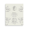 Set Duo, Joliderm, Joliderm, Shea Butter And Coconut Oil, Hydrating & Softening, Hand Sheet Mask, 2 pcs, 2