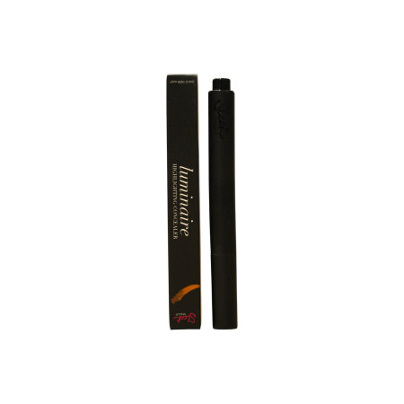 Sleek MakeUP, Luminaire, Highlighting, Concealer Stick, 05, 2 ml