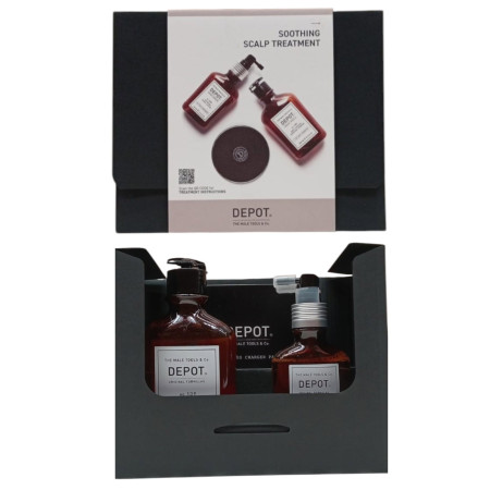 Consumer Kit G Set Depot: 200 Hair Treatments No. 209, Hair Lotion Treatment, For Calming, 100 ml + 100 Hair Cleansing No. 109, 