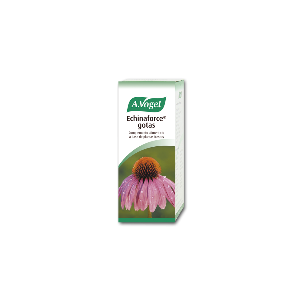 Vogel Echinaforce 100ml