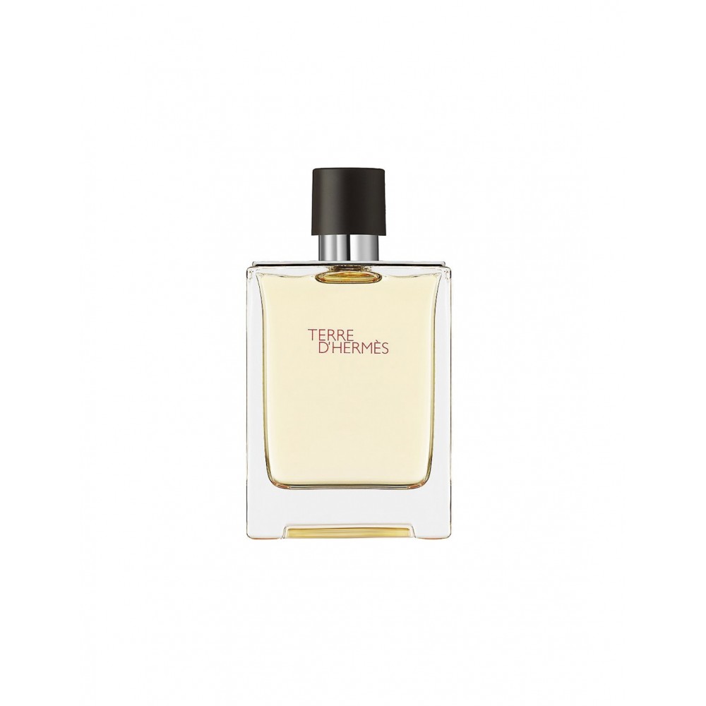 Tualetinis vanduo Hermes Terre D'hermesEDT vyrams, 100ml