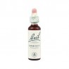 Bach 06 Vyšninė slyva 20ml