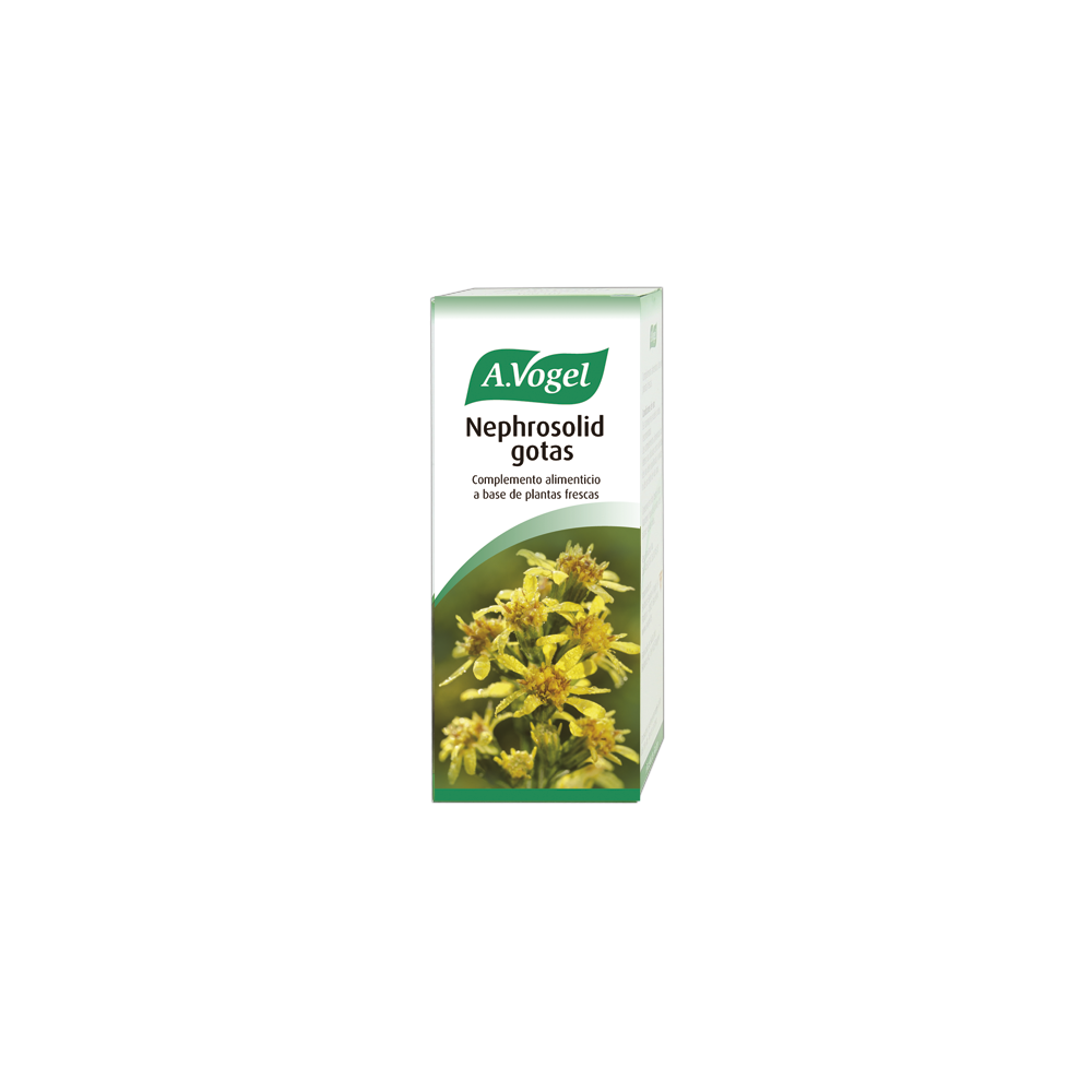 Vogel Solidago Complex 60 vnt