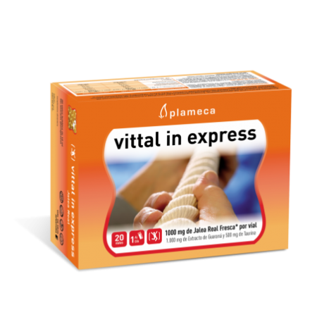 Plameca Vittal In Express