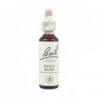 Bach 26 Rock Rose 20ml
