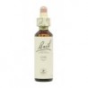 Bach 22 Oak 20ml