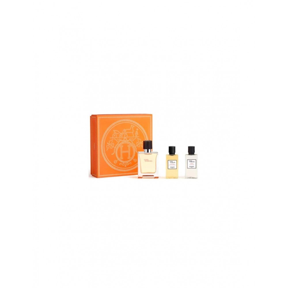 Hermès Terre D'hermes e T 50 Spray Gel40 Ash40